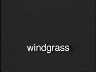 windgrasssubm-2